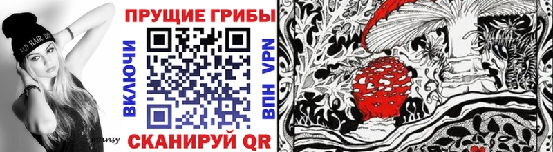 где продают наркотики  Нея  Галлюциногенные грибы ЛСД 